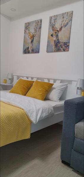 Apartman Iva